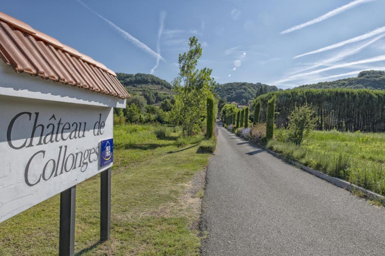 Saint-Donat-sur-lʼHerbasse Chateau De Collonges מראה חיצוני תמונה